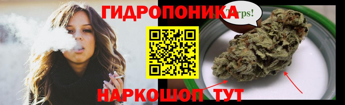 Бошки Шишки план  Вход с VPN  Кушва  Марихуана Bruce Banner  Шишки марихуана семена 
